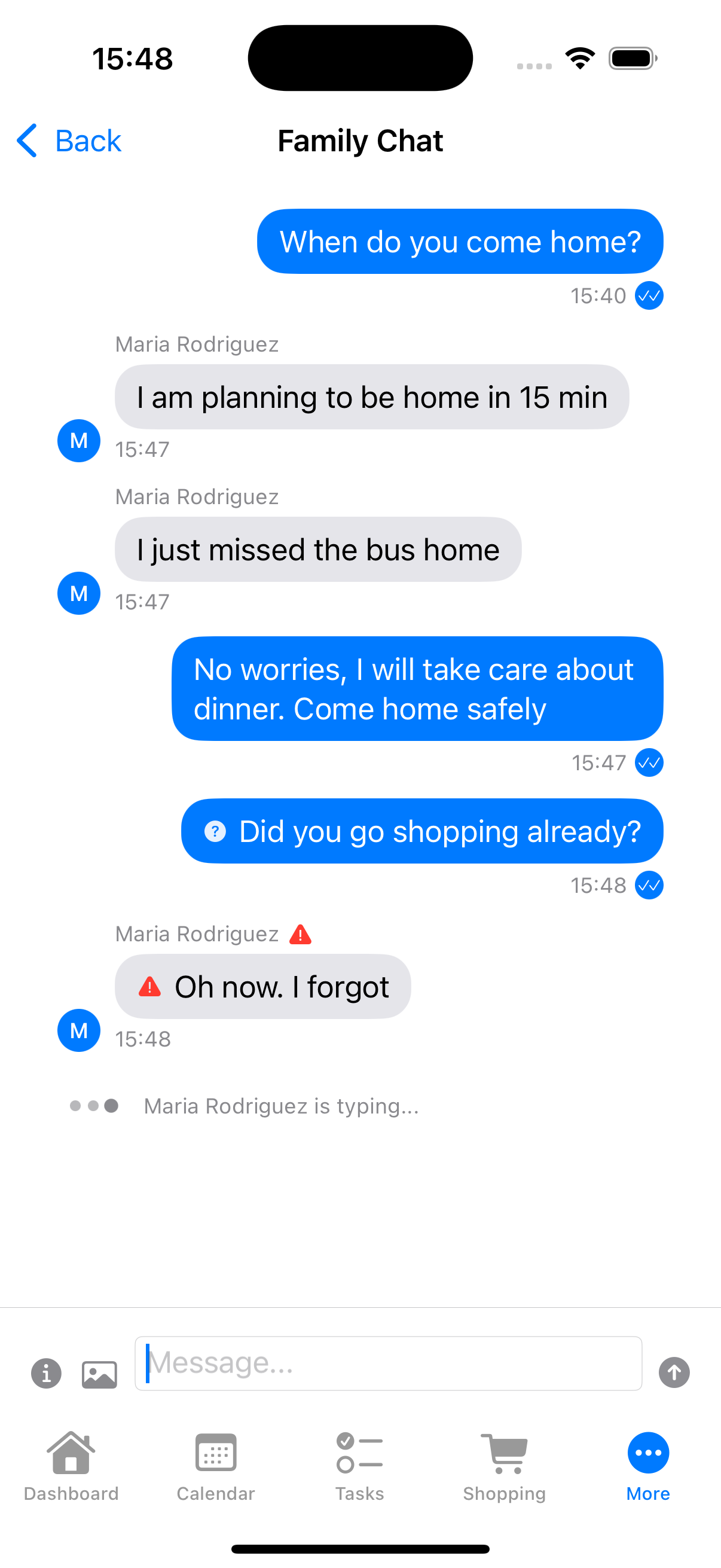 Family Chat showing real-time conversation between parent and au pair